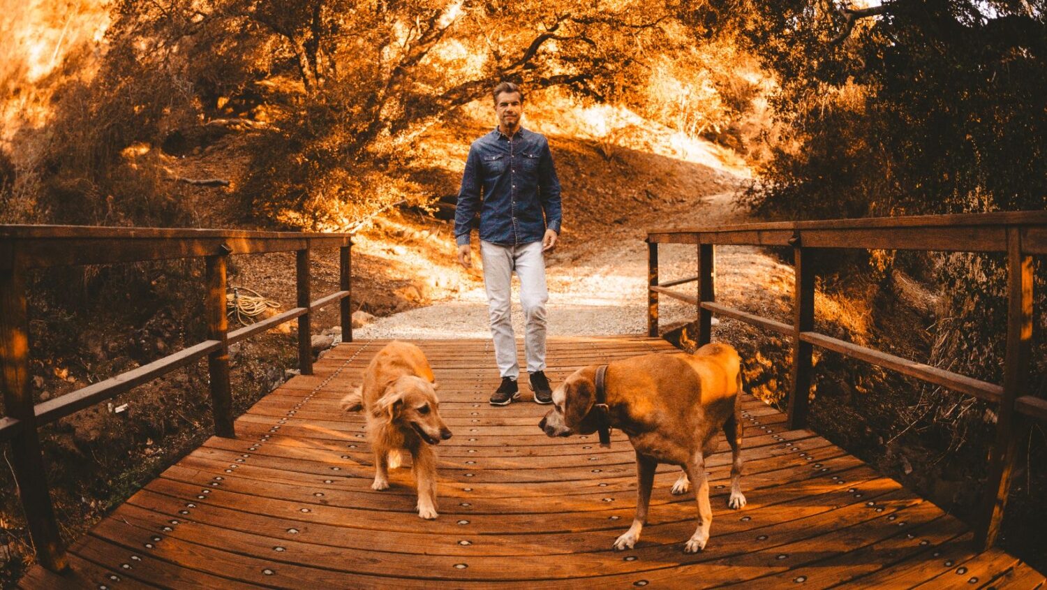 Nick Hexum Banner (1640 x 924 px) – 1